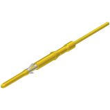 Contact, Male, Signal